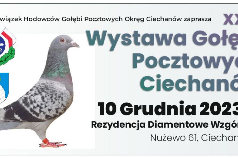 31 Wystawa Gołębi Pocztowych - zbiórka charytatywna dla Antoniego Tomczaka