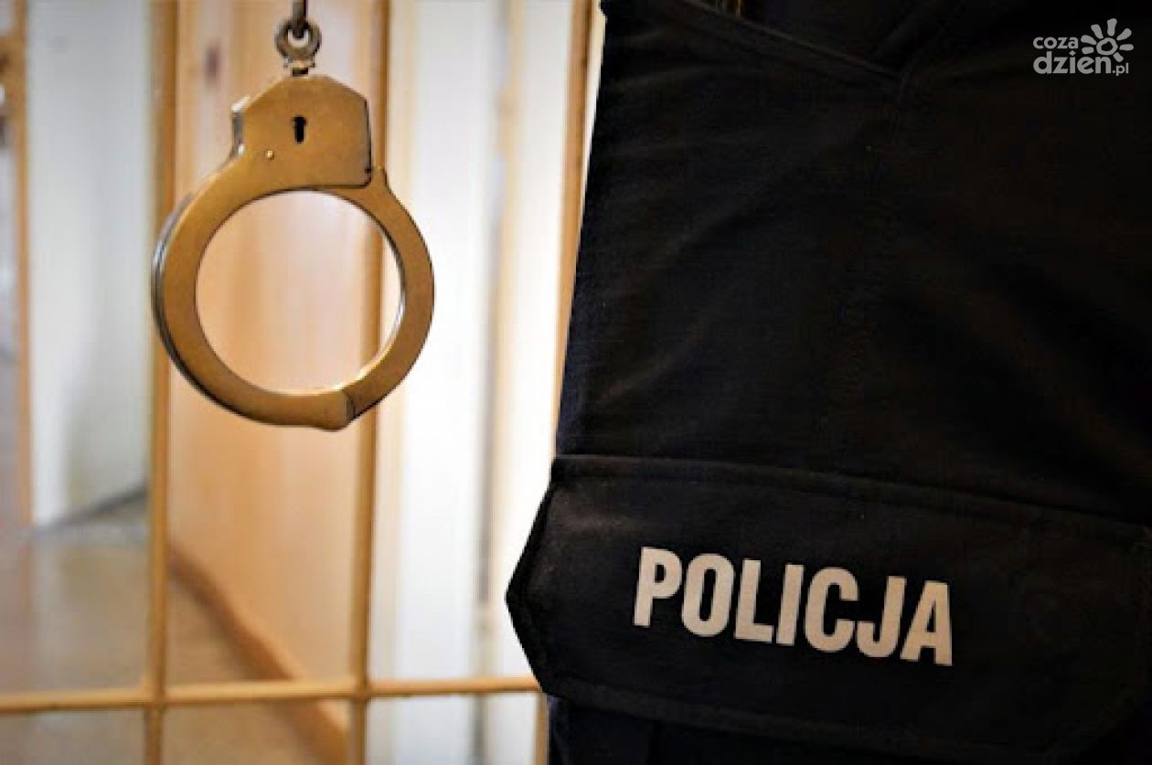 Ciechanowscy policjanci zatrzymali 10 poszukiwanych osób 