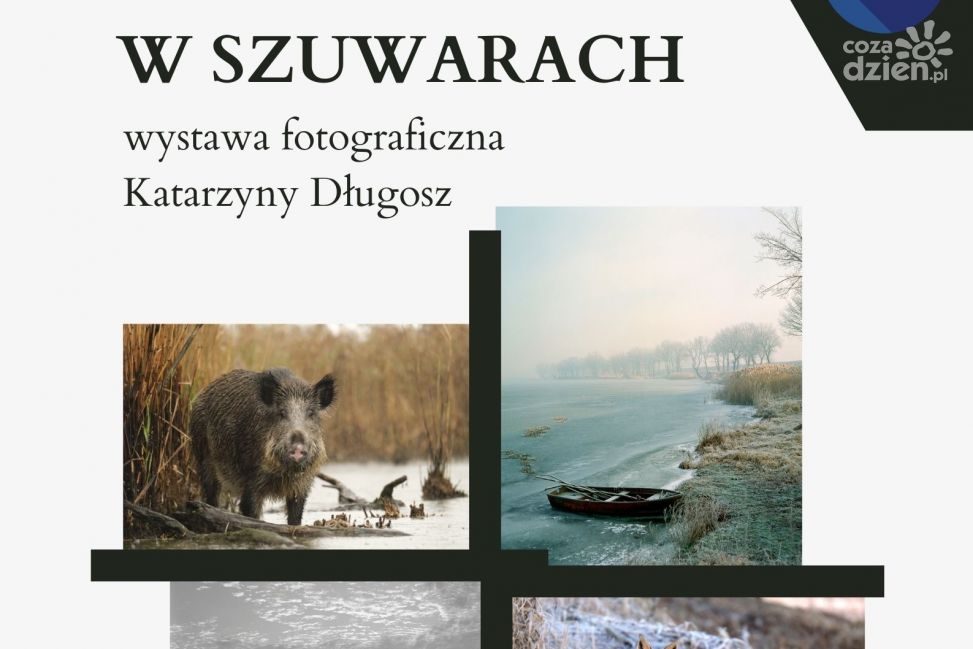 “Zen w szuwarach” - kontemplacja życia przez obiektyw Katarzyny Długosz