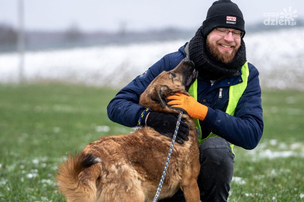 Bohaterowie DogPawLove - wolontariusze ze Schroniska dla Bezdomnych Zwierząt w Pawłowie [Zdjęcia]