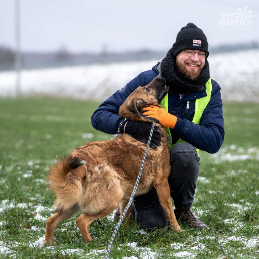 Bohaterowie DogPawLove - wolontariusze ze Schroniska dla Bezdomnych Zwierząt w Pawłowie [Zdjęcia]