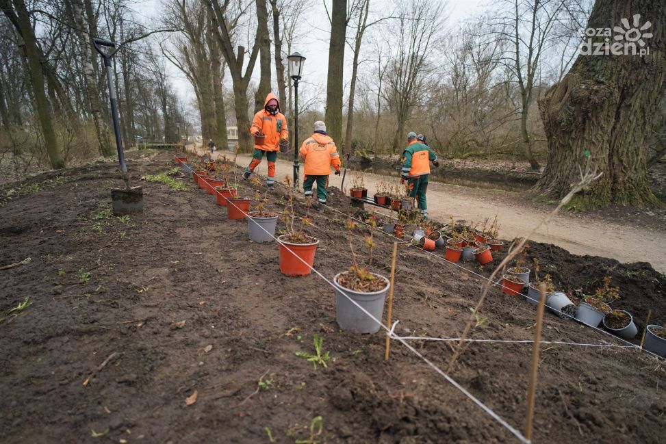 Rewitalizacja Parku nad Łydynią - nowe rośliny i muzyczny plac zabaw