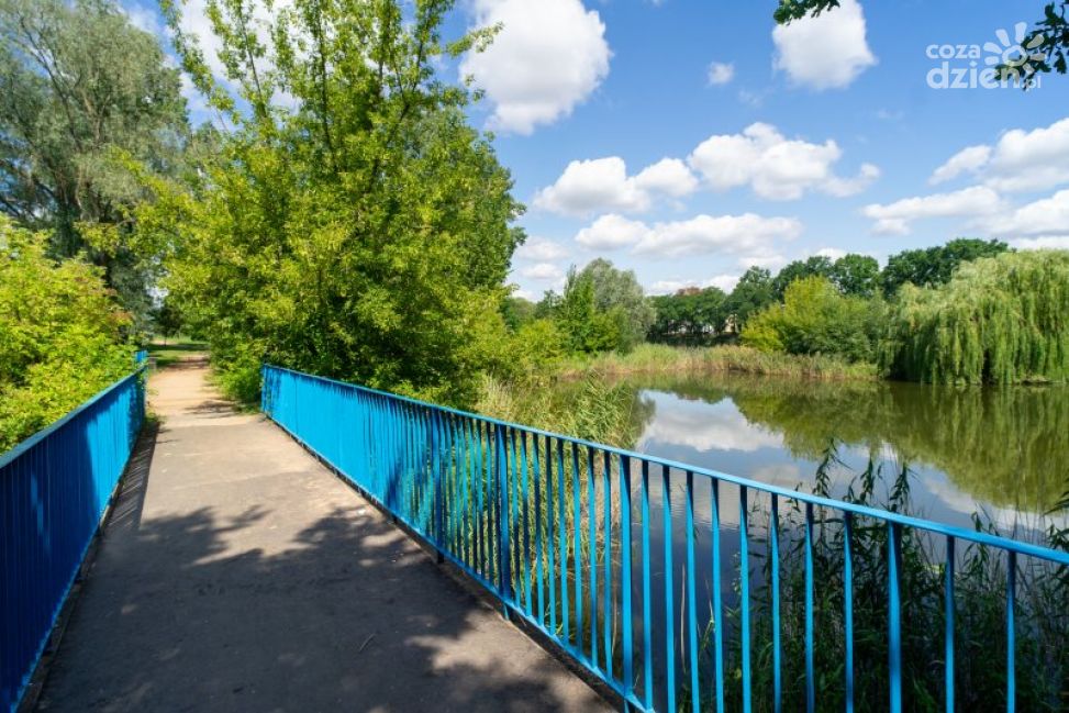 Nowy park botaniczny w Ciechanowie dzięki dofinansowaniu z UE!