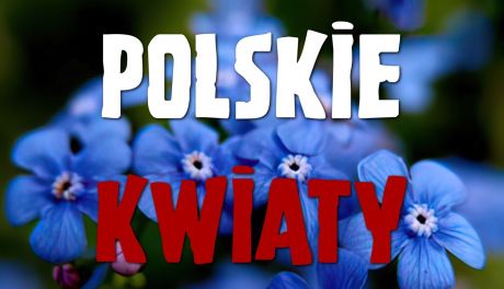 Wydarzenie "Polskie Kwiaty" w Ciechanowie