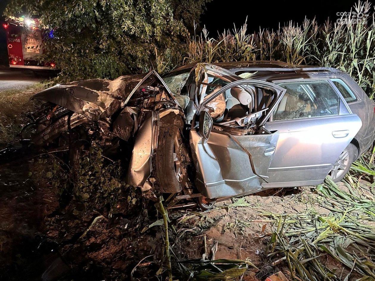 Auto dachowało! Wypadek w Sosnówce