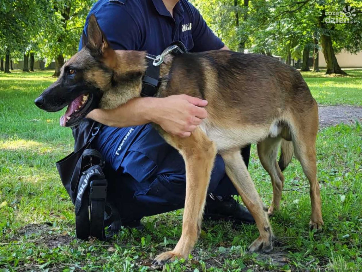 Policjanci i pies RICO, który pomógł w odkryciu narkotyków