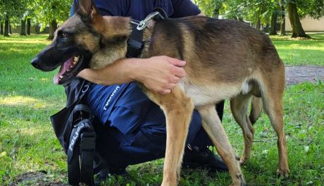 Policjanci i pies RICO, który pomógł w odkryciu narkotyków