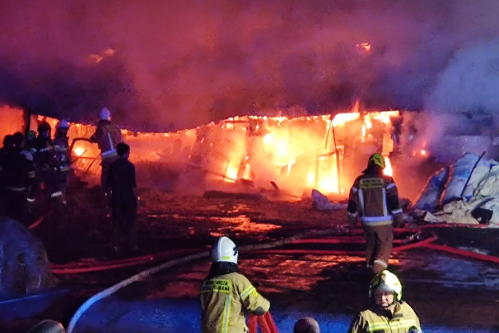 Tragiczny pożar obory w Grzybowie - zginęło 15 byków