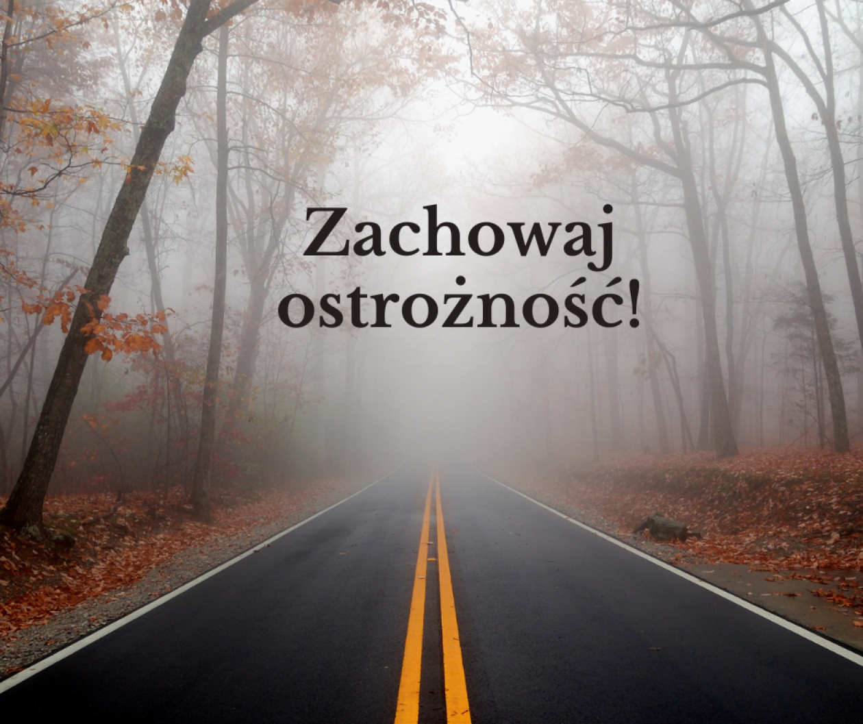 Brak odblasków przyczyną tragedii? Wypadek pod Płońskiem