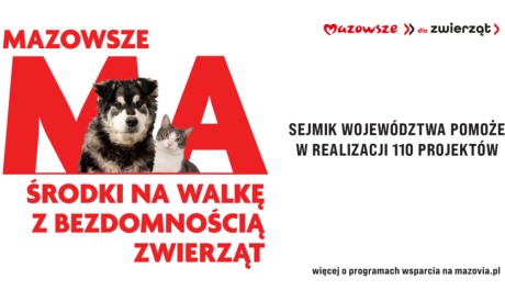 1,5 mln zł na 110 projektów związanych ze zwierzętami