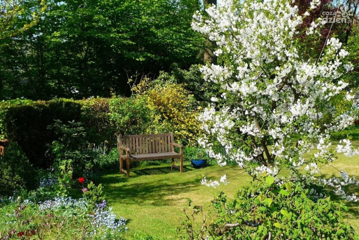 Twój balkon zachwyca? Zgłoś go i wygraj kasę