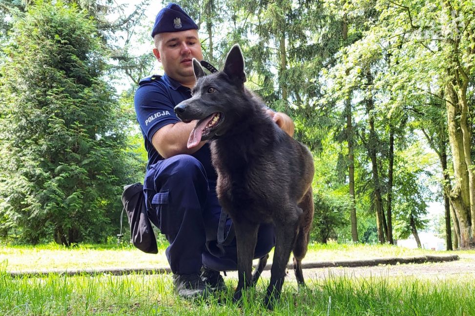 To jedyny taki pies na Mazowszu. Służy w Radomiu, ale będzie pomagał w całym garnizonie
