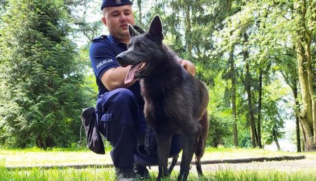 To jedyny taki pies na Mazowszu. Służy w Radomiu, ale będzie pomagał w całym garnizonie