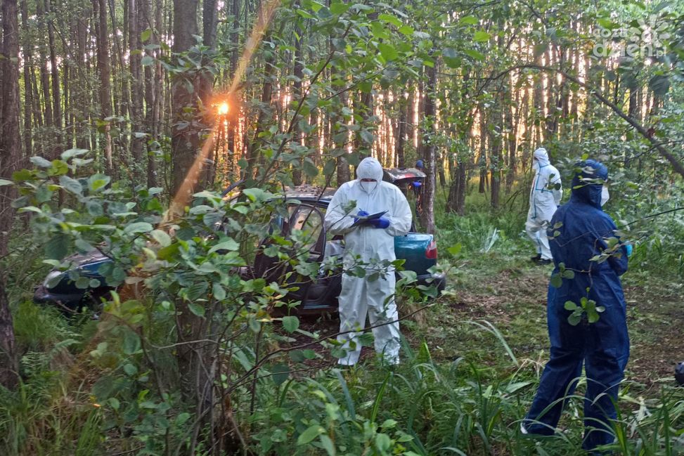 Makabryczne odkrycie w lesie. Ciała zaginionych mieszkańców Karolewa znaleziono w bagnie