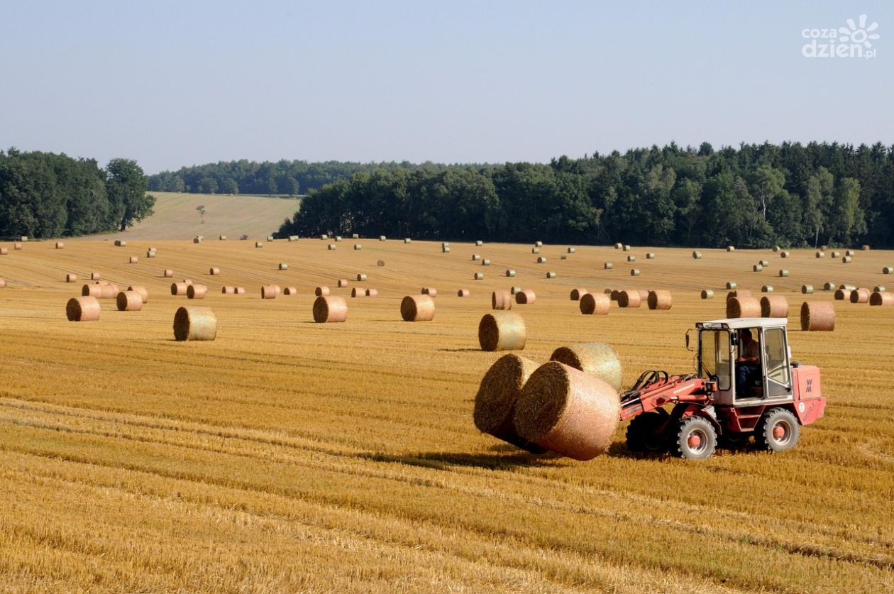 Cofająca ładowarka zabiła mężczyznę